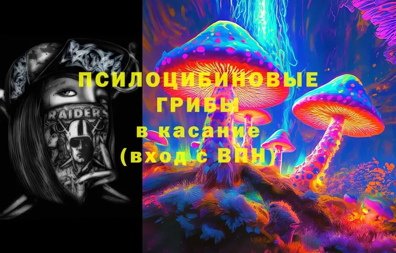 Галлюциногенные грибы Psilocybe  наркотики  Ялуторовск 